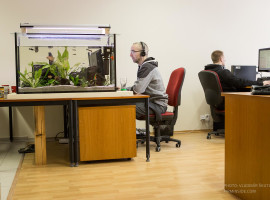 Photo from gallery
