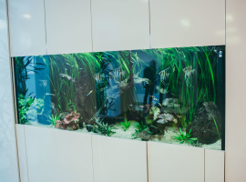 Photo from gallery