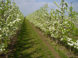 Photo from gallery